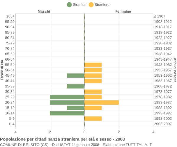 Grafico cittadini stranieri - Belsito 2008