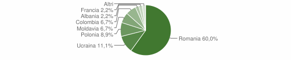 Grafico cittadinanza stranieri - Pedace 2010