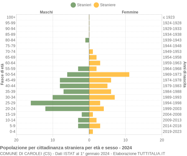 Grafico cittadini stranieri - Carolei 2024