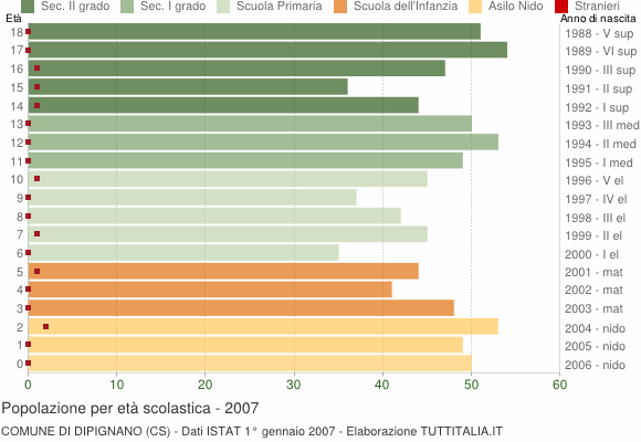 Grafico Popolazione in età scolastica - Dipignano 2007