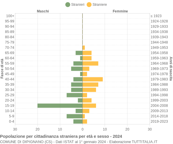 Grafico cittadini stranieri - Dipignano 2024