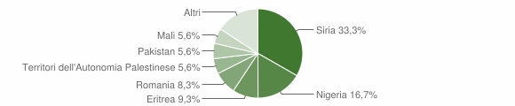 Grafico cittadinanza stranieri - Camini 2020