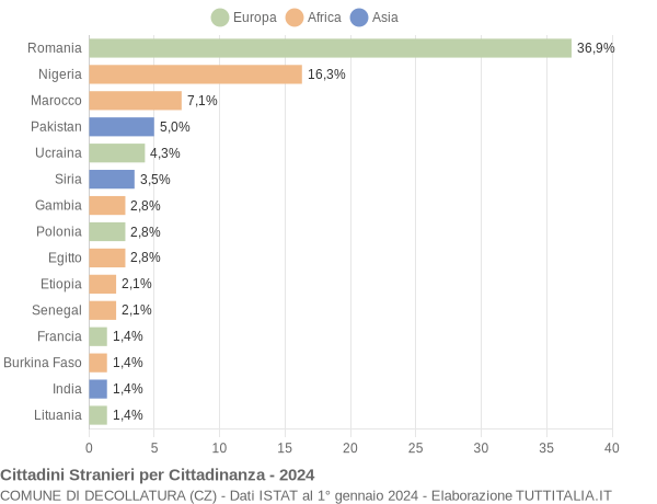 Grafico cittadinanza stranieri - Decollatura 2024