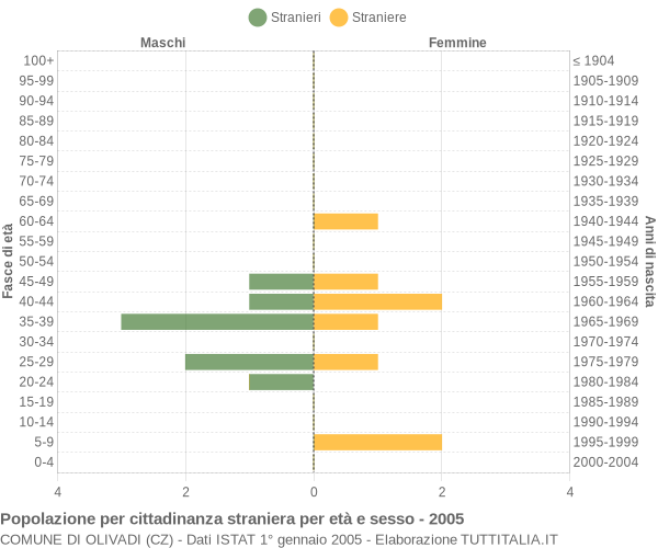 Grafico cittadini stranieri - Olivadi 2005