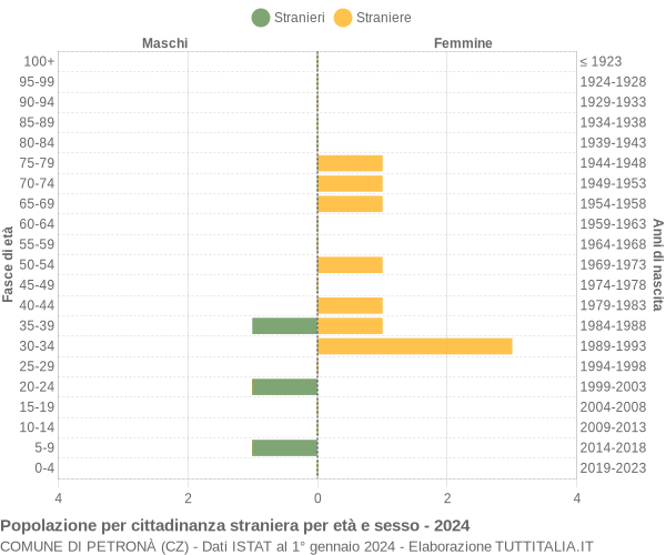 Grafico cittadini stranieri - Petronà 2024