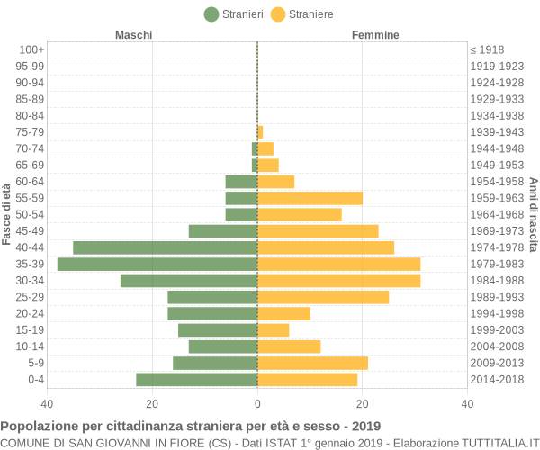 Grafico cittadini stranieri - San Giovanni in Fiore 2019