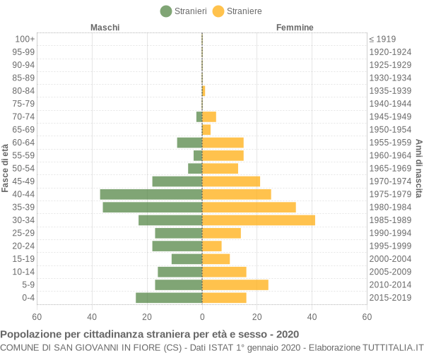 Grafico cittadini stranieri - San Giovanni in Fiore 2020