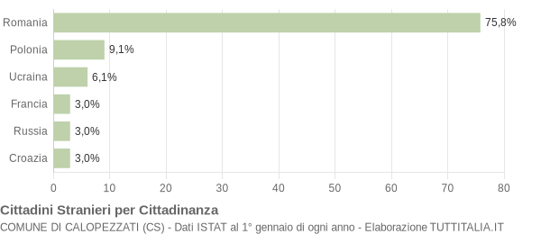 Grafico cittadinanza stranieri - Calopezzati 2009