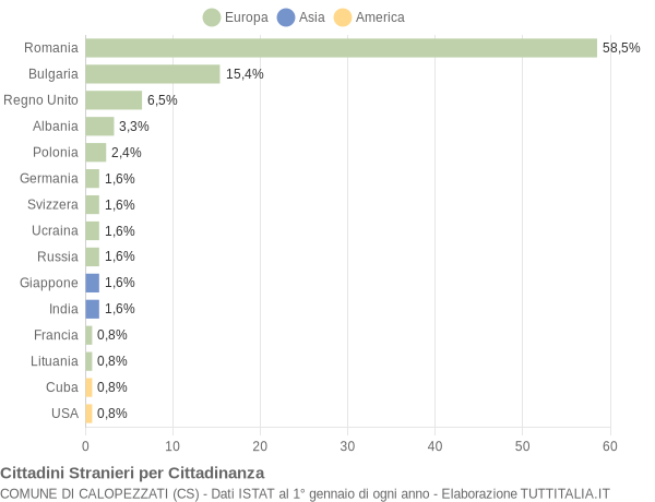 Grafico cittadinanza stranieri - Calopezzati 2020