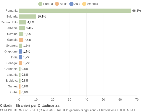 Grafico cittadinanza stranieri - Calopezzati 2021