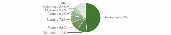 Grafico cittadinanza stranieri - Casali del Manco 2013