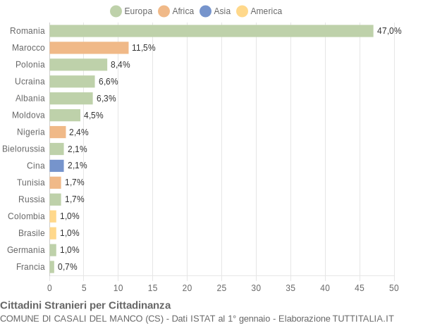 Grafico cittadinanza stranieri - Casali del Manco 2014