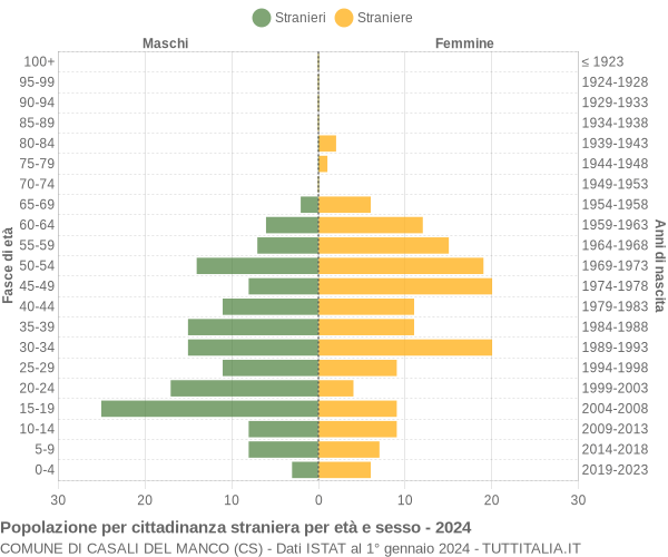 Grafico cittadini stranieri - Casali del Manco 2024