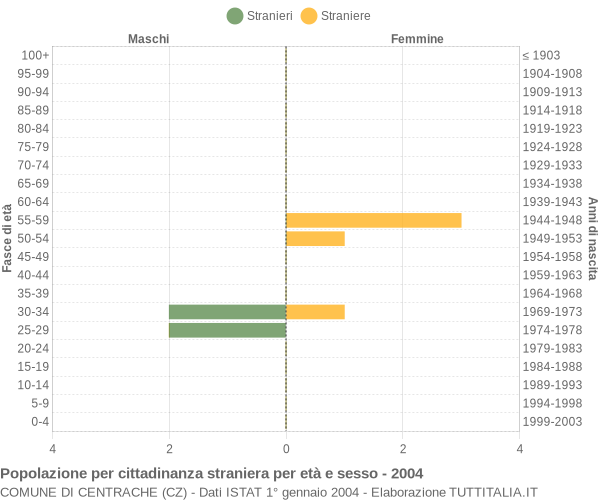 Grafico cittadini stranieri - Centrache 2004