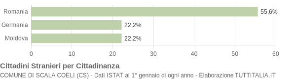 Grafico cittadinanza stranieri - Scala Coeli 2007