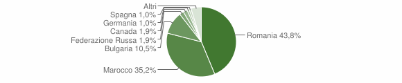Grafico cittadinanza stranieri - Maierato 2009