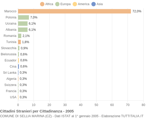 Grafico cittadinanza stranieri - Sellia Marina 2005