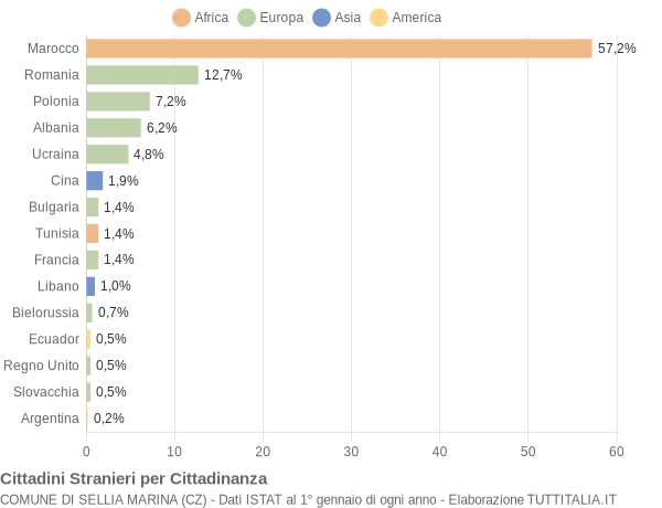 Grafico cittadinanza stranieri - Sellia Marina 2009