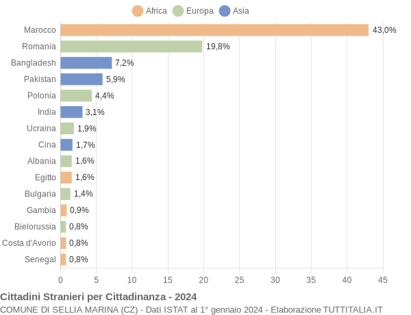 Grafico cittadinanza stranieri - Sellia Marina 2024