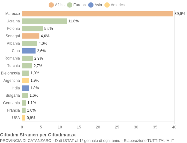 Grafico cittadinanza stranieri - 2005