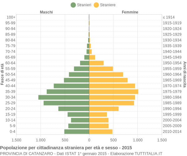 Grafico cittadini stranieri - 2015