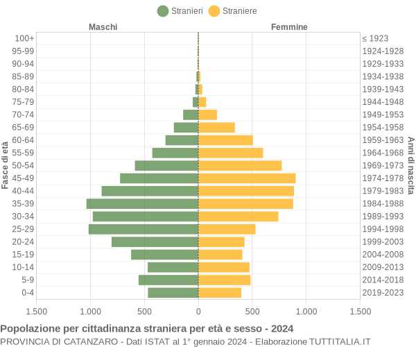 Grafico cittadini stranieri - 2024