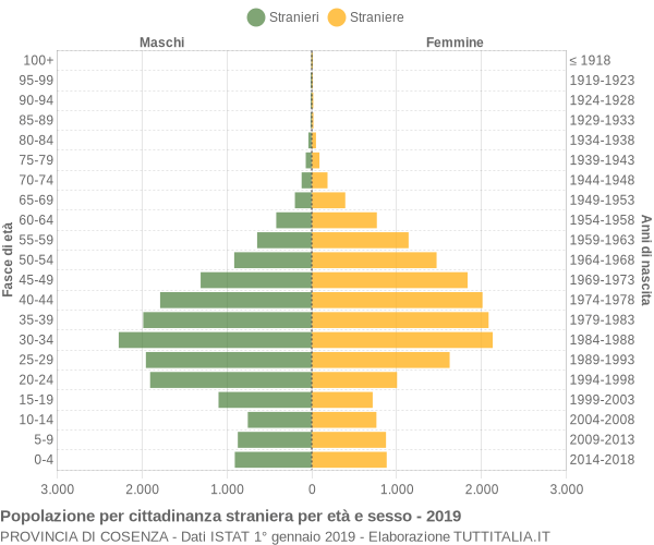 Grafico cittadini stranieri - 2019