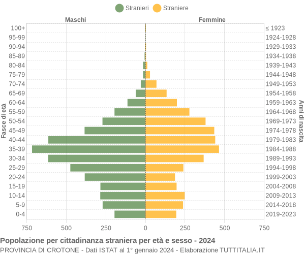 Grafico cittadini stranieri - 2024