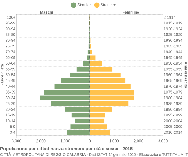 Grafico cittadini stranieri - 2015