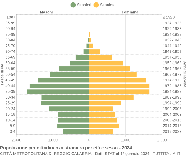 Grafico cittadini stranieri - 2024