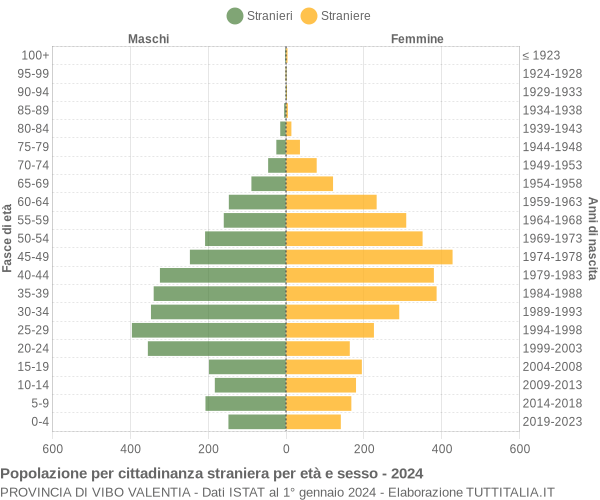 Grafico cittadini stranieri - 2024