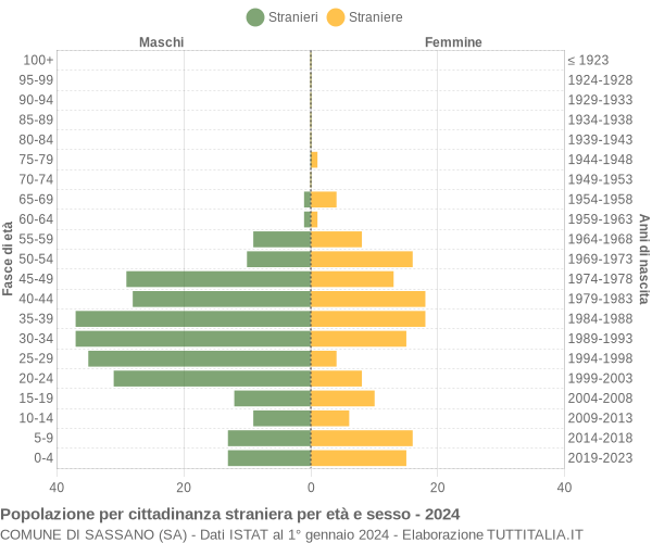 Grafico cittadini stranieri - Sassano 2024