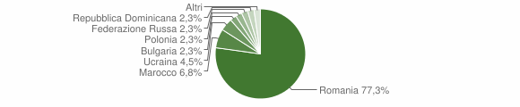 Grafico cittadinanza stranieri - Sessa Cilento 2014