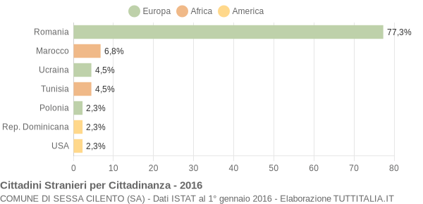 Grafico cittadinanza stranieri - Sessa Cilento 2016