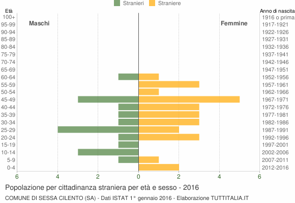 Grafico cittadini stranieri - Sessa Cilento 2016