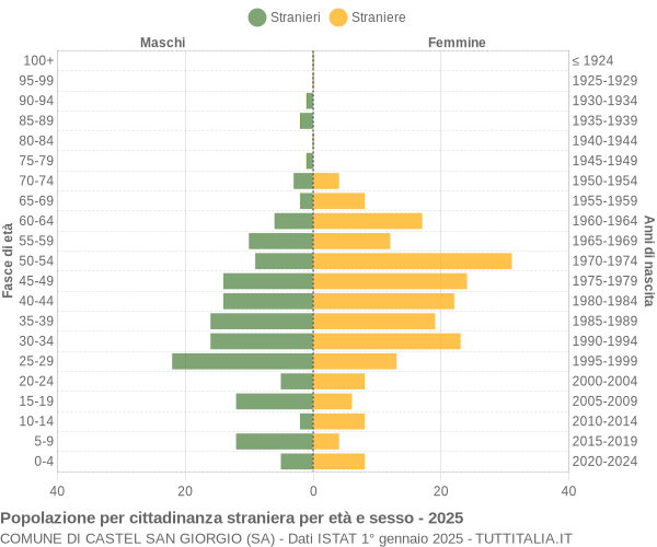 Grafico cittadini stranieri - Castel San Giorgio 2025