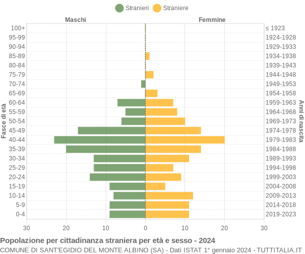 Grafico cittadini stranieri - Sant'Egidio del Monte Albino 2024