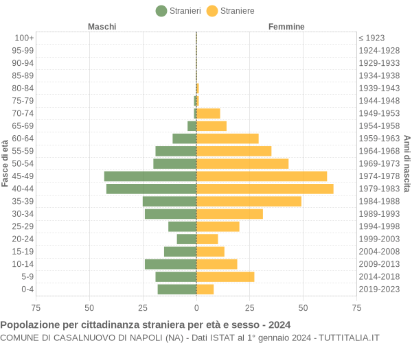 Grafico cittadini stranieri - Casalnuovo di Napoli 2024