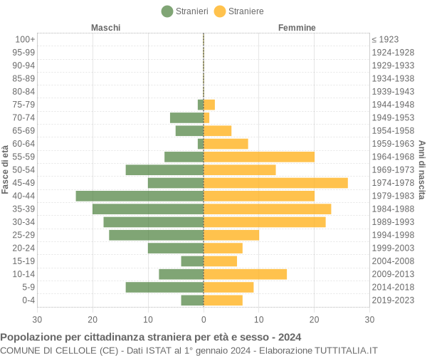 Grafico cittadini stranieri - Cellole 2024