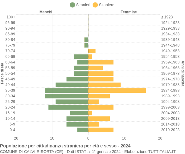 Grafico cittadini stranieri - Calvi Risorta 2024