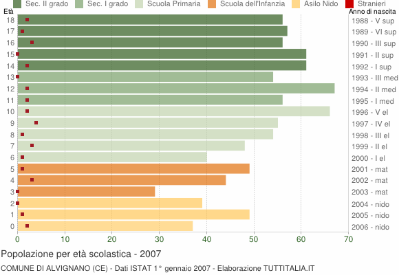 Grafico Popolazione in età scolastica - Alvignano 2007