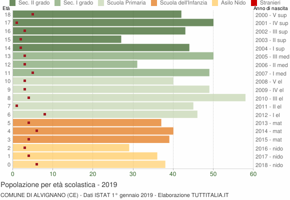 Grafico Popolazione in età scolastica - Alvignano 2019