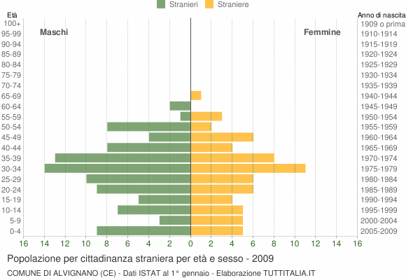 Grafico cittadini stranieri - Alvignano 2009