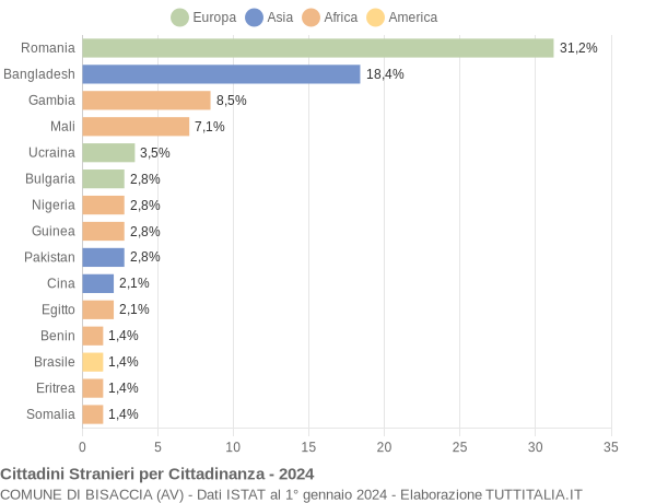 Grafico cittadinanza stranieri - Bisaccia 2024