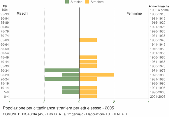 Grafico cittadini stranieri - Bisaccia 2005