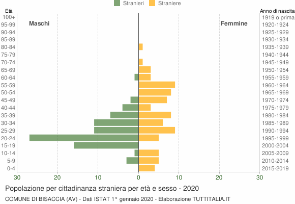 Grafico cittadini stranieri - Bisaccia 2020