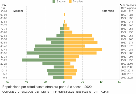 Grafico cittadini stranieri - Casagiove 2022