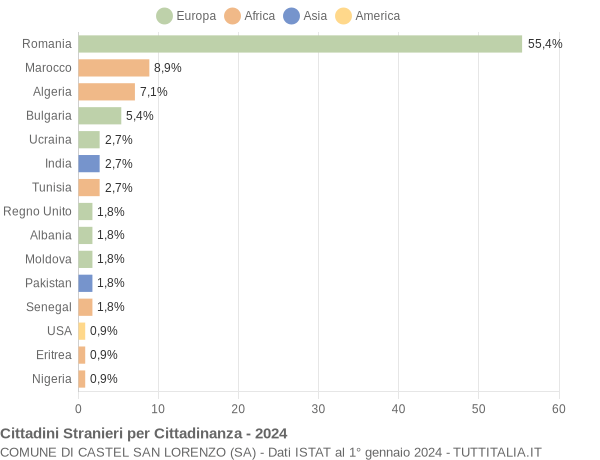 Grafico cittadinanza stranieri - Castel San Lorenzo 2024