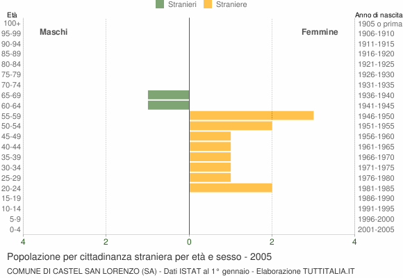 Grafico cittadini stranieri - Castel San Lorenzo 2005