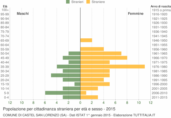 Grafico cittadini stranieri - Castel San Lorenzo 2015